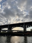 IMG 4331